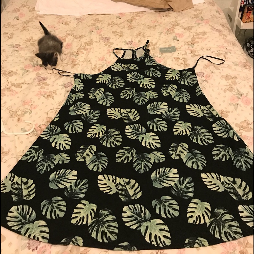 Forever 21 dress